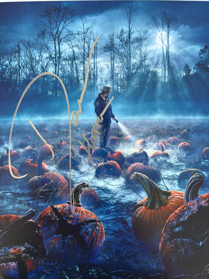David Harbour signed Autograph 8x10 Stranger Things, Hellboy, Marvel