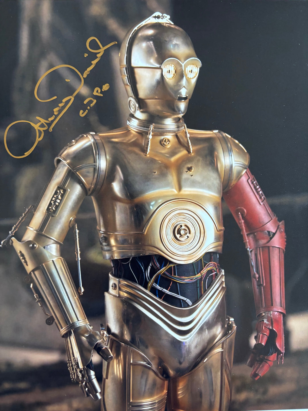 Anthony Daniels signed Autograph 8x10 Star Wars